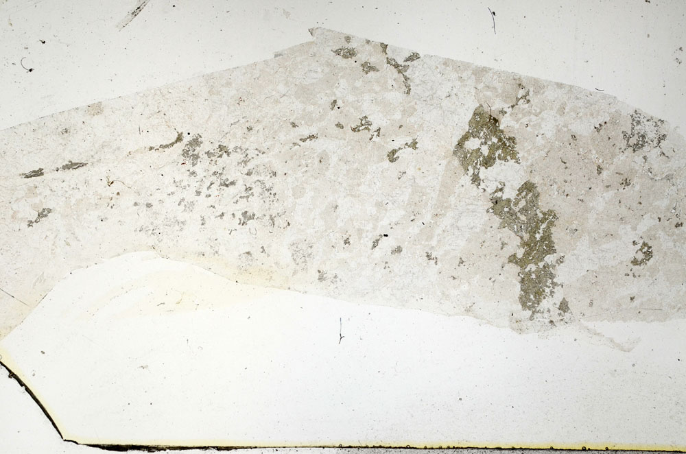 Plane Polarized, S89258