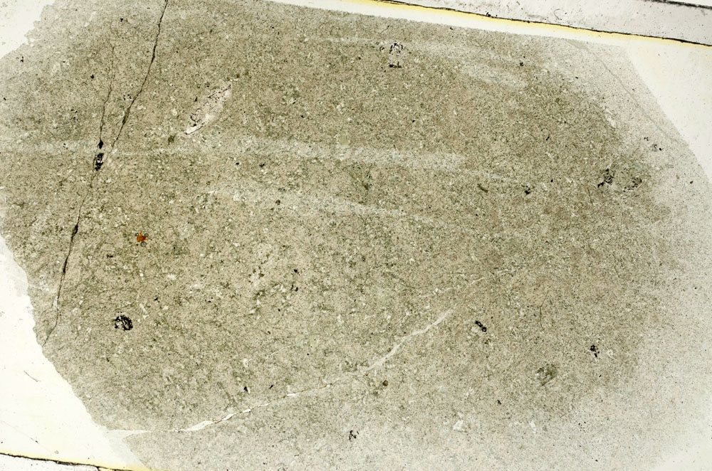 Plane Polarized, S89261