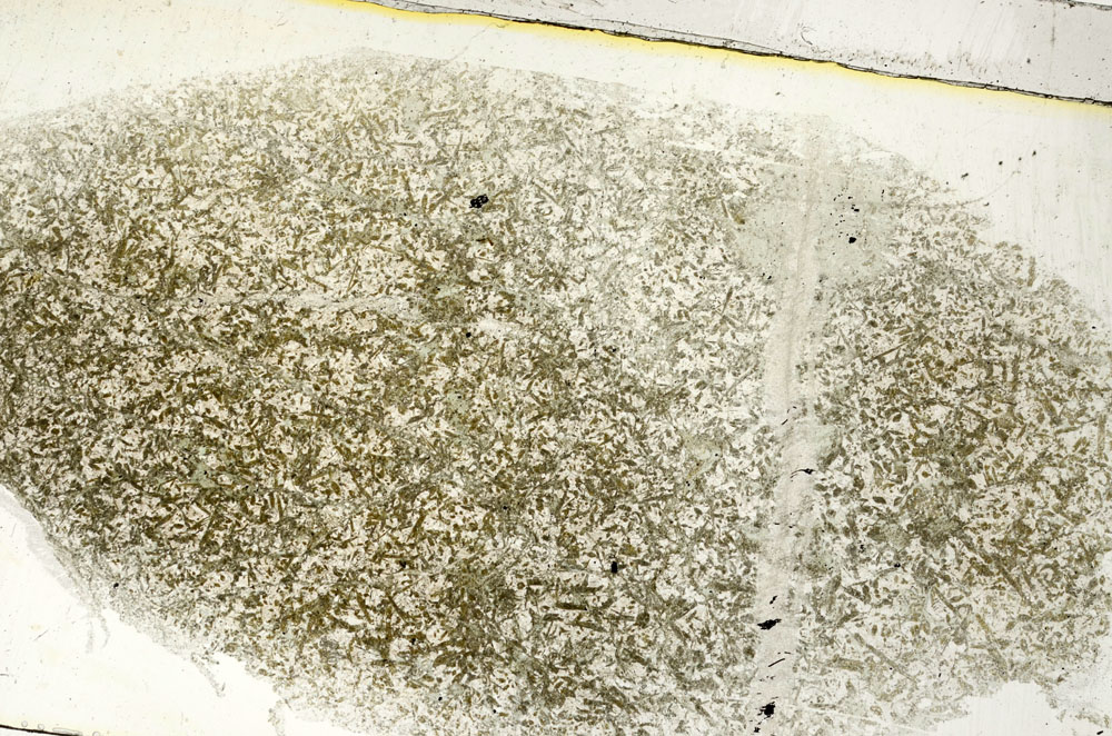Plane Polarized, S89263