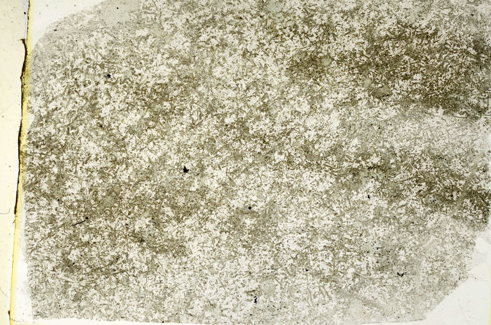 Plane Polarized, S89264