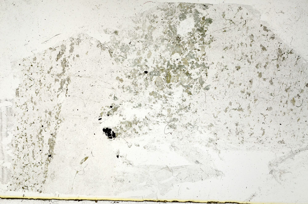 Plane Polarized, S89274