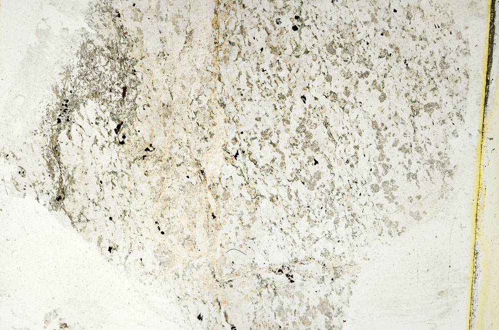 Plane Polarized, S89275