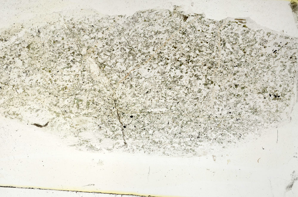 Plane Polarized, S89276