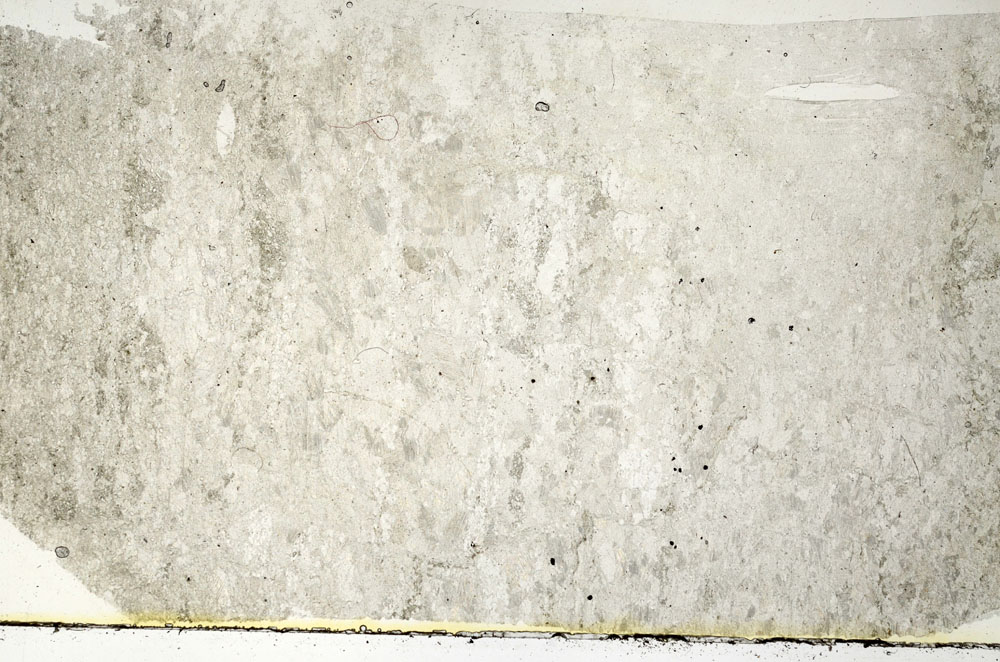 Plane Polarized, S89277