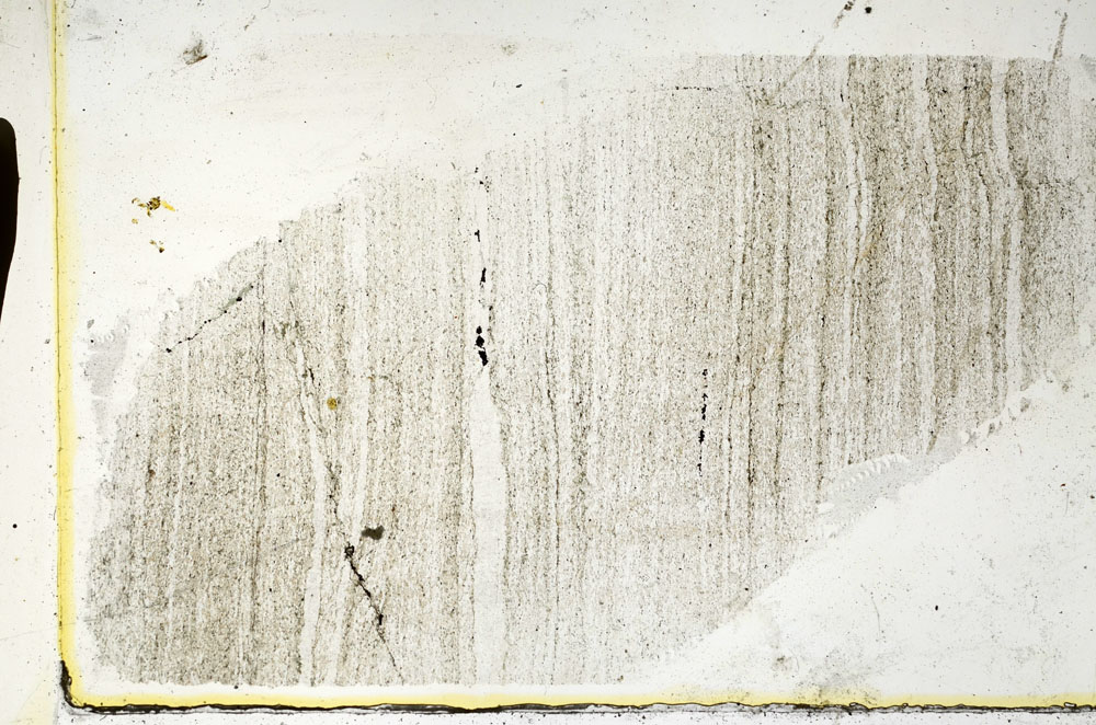Plane Polarized, S89282