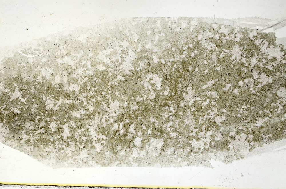 Plane Polarized, S89283