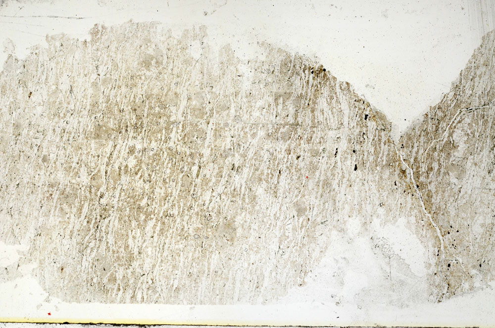 Plane Polarized, S89290