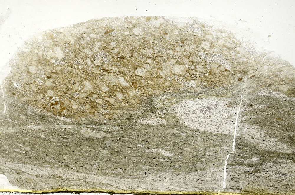 Plane Polarized, S89292