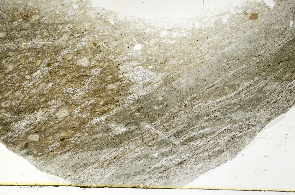 Plane Polarized, S89293