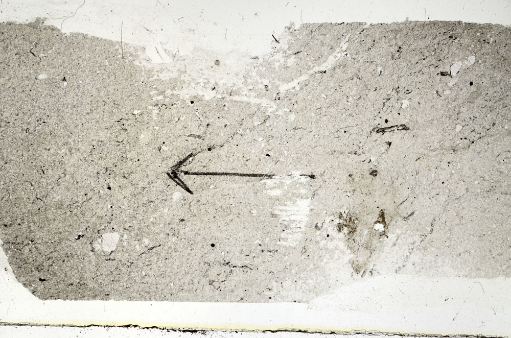Plane Polarized, S89305