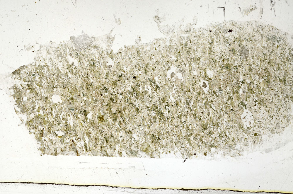 Plane Polarized, S89316
