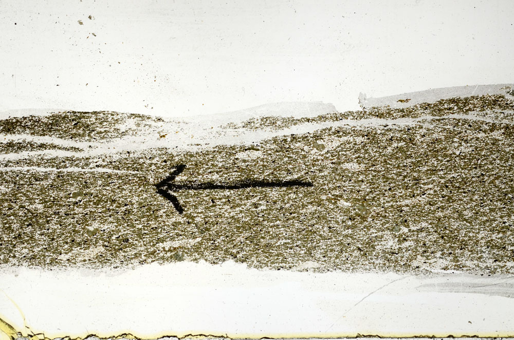 Plane Polarized, S89318
