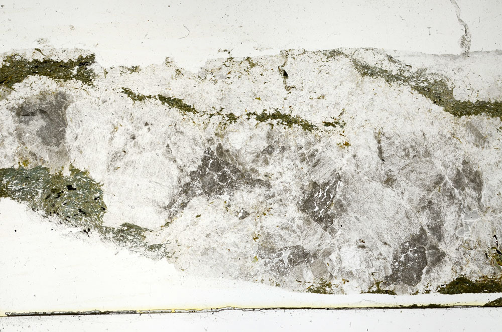 Plane Polarized, S89319
