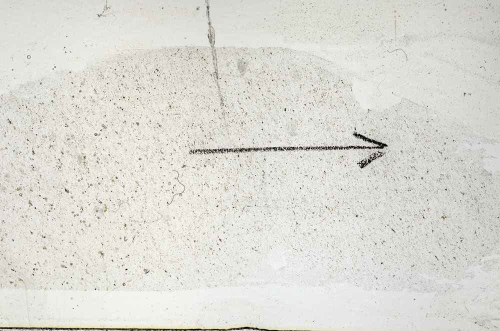 Plane Polarized, S89320
