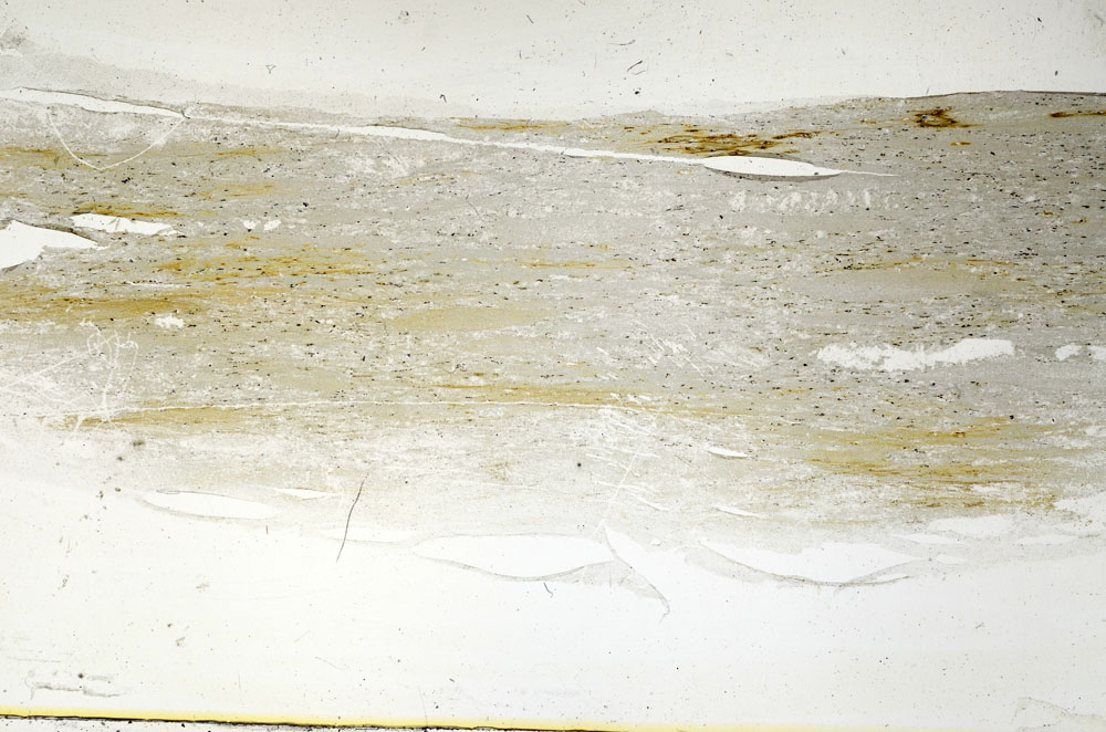 Plane Polarized, S89324
