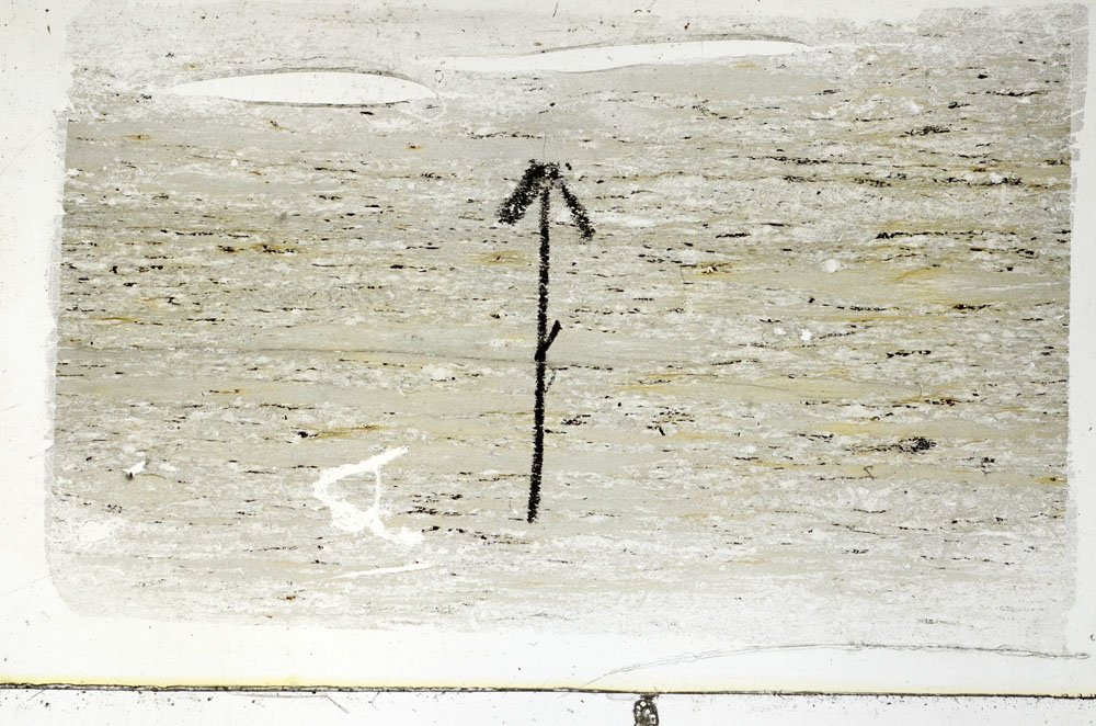 Plane Polarized, S89325