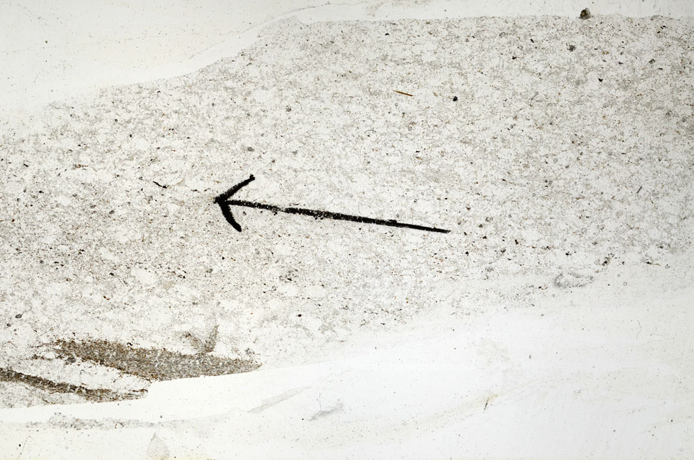 Plane Polarized, S89326