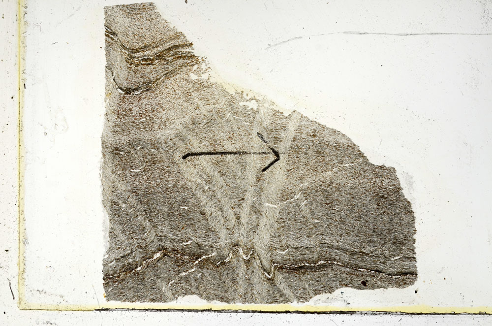 Plane Polarized, S89327