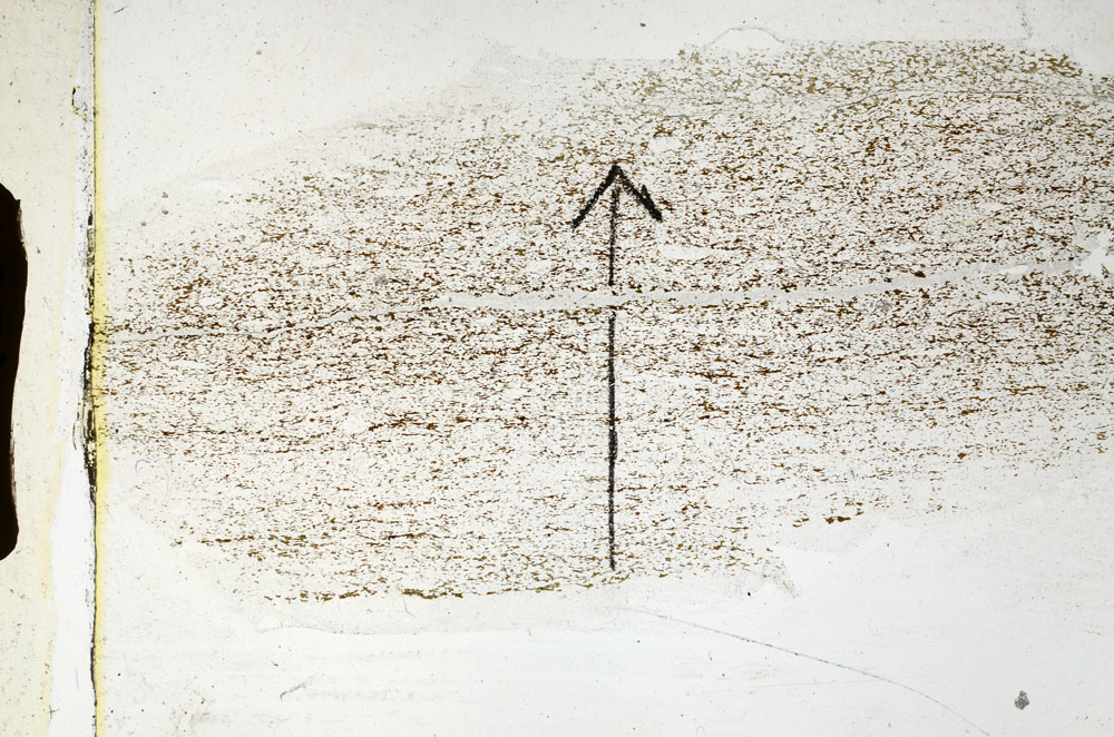 Plane Polarized, S89332