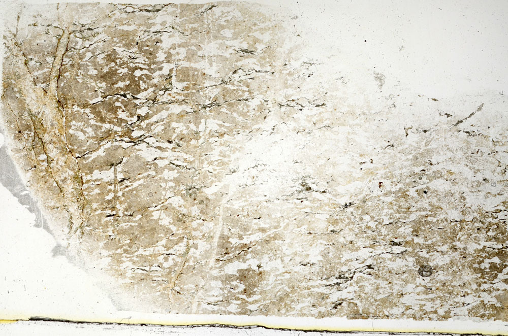 Plane Polarized, S89338
