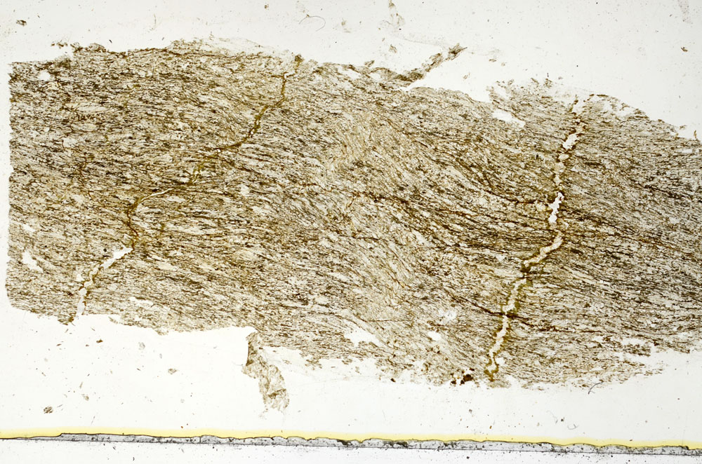 Plane Polarized, S89339