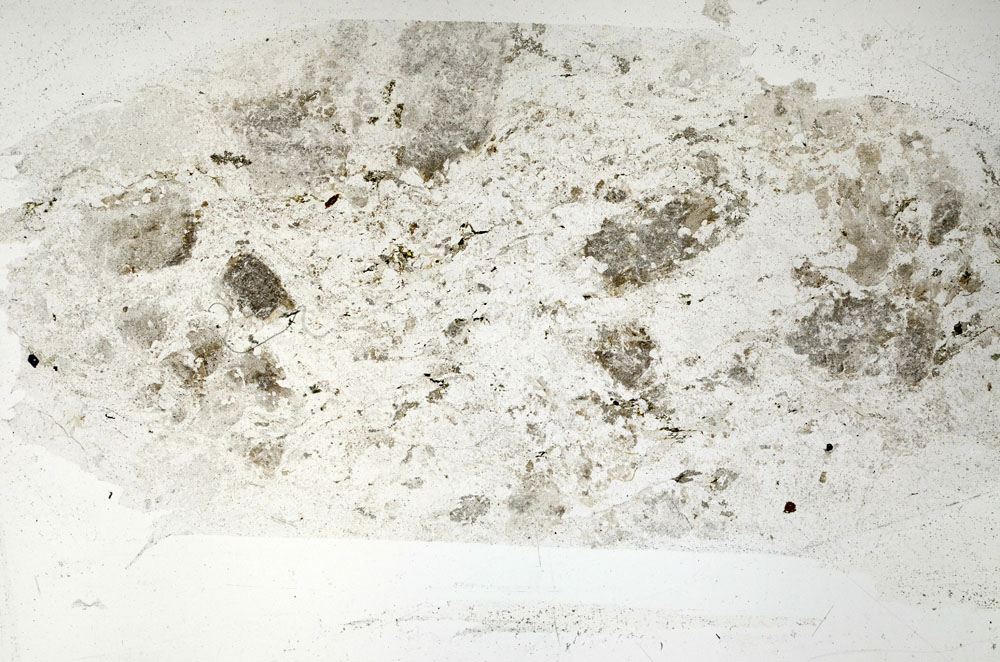 Plane Polarized, S89342