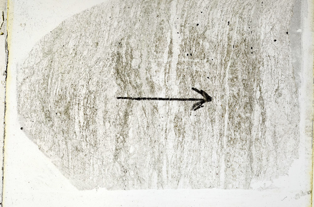 Plane Polarized, S89349