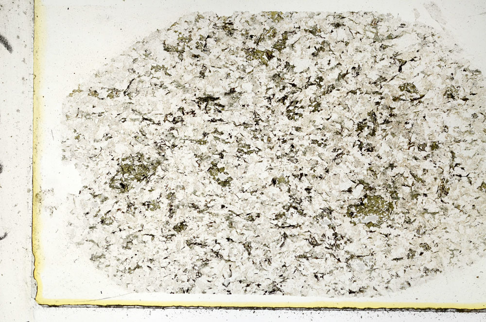 Plane Polarized, S89362