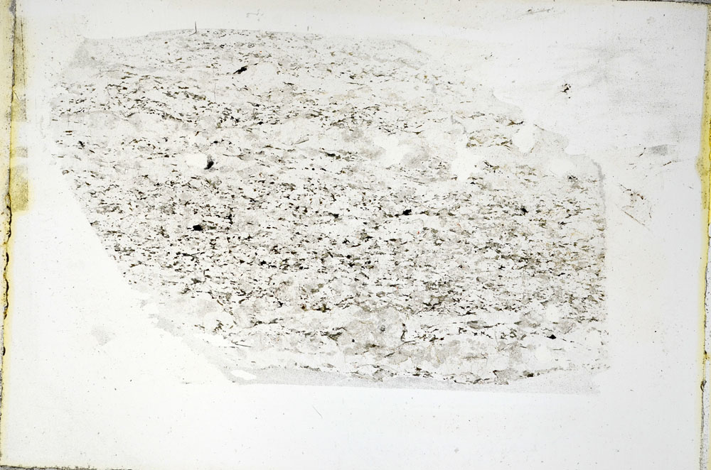 Plane Polarized, S89364