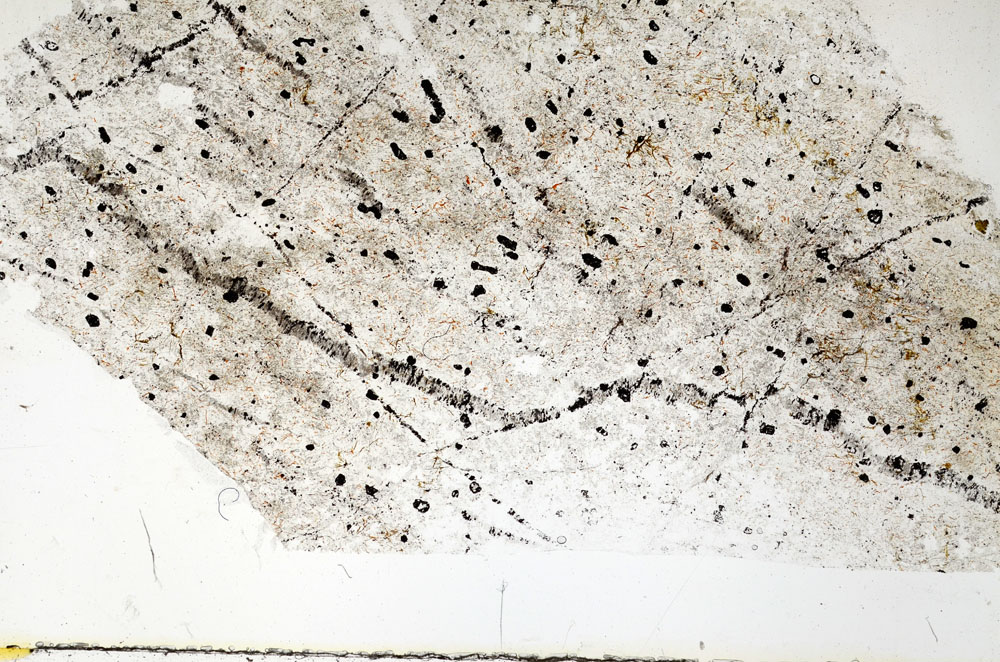 Plane Polarized, S89372