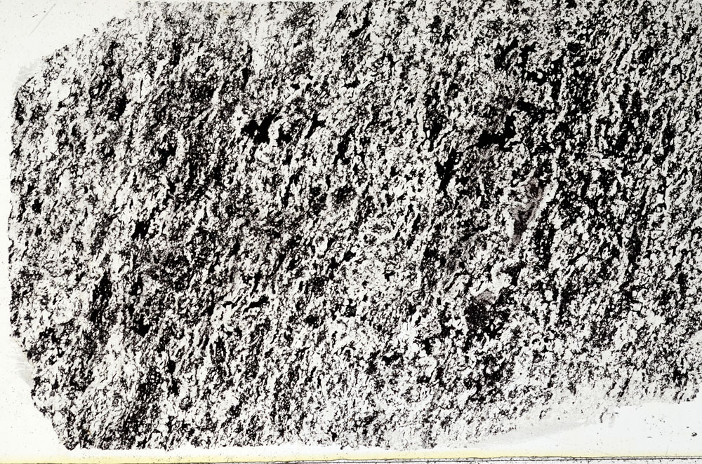 Plane Polarized, S89382