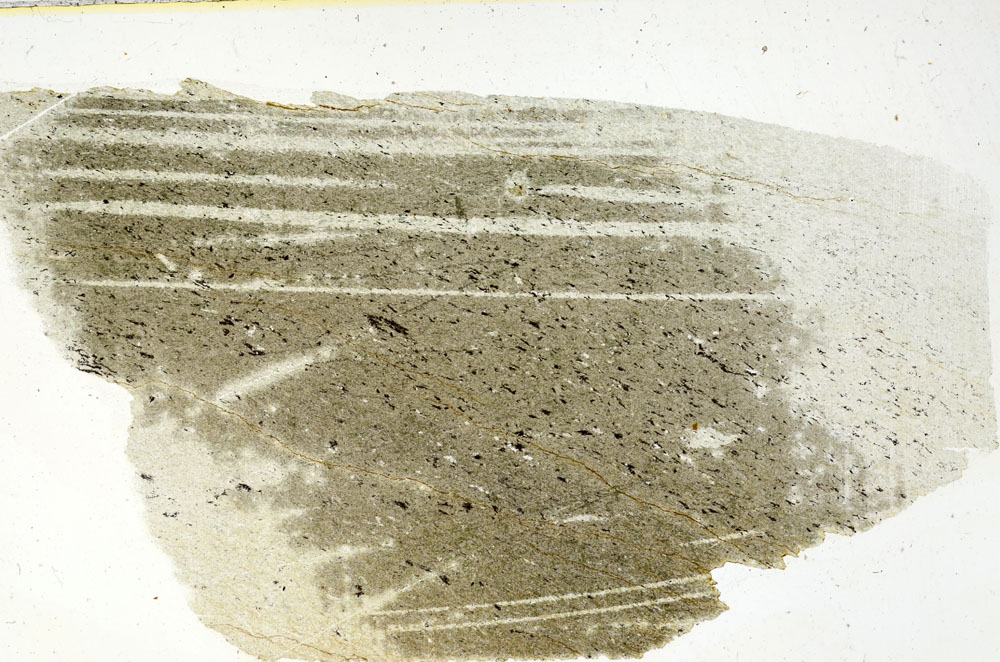 Plane Polarized, S89383