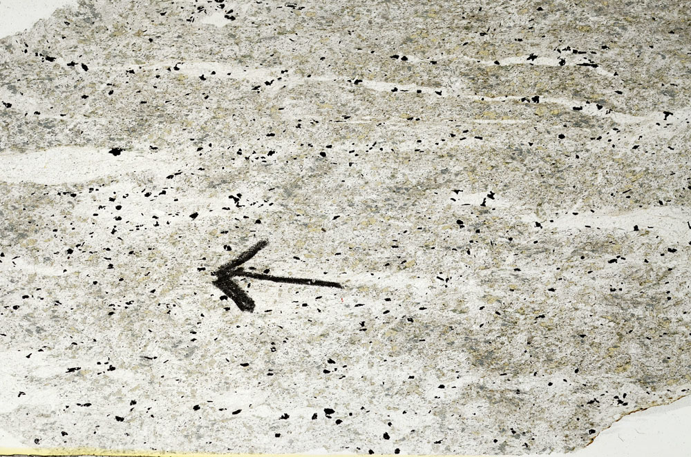 Plane Polarized, S89385
