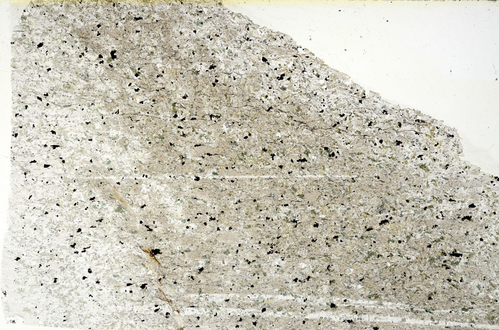 Plane Polarized, S89386