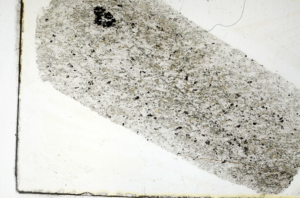 Plane Polarized, S89387