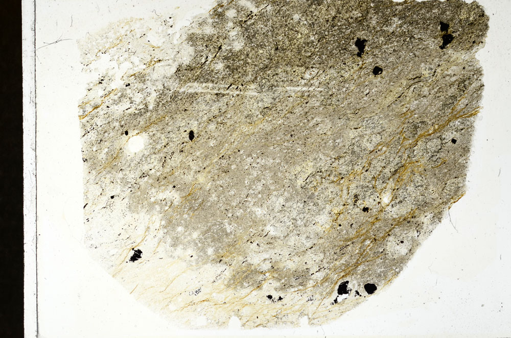 Plane Polarized, S89392