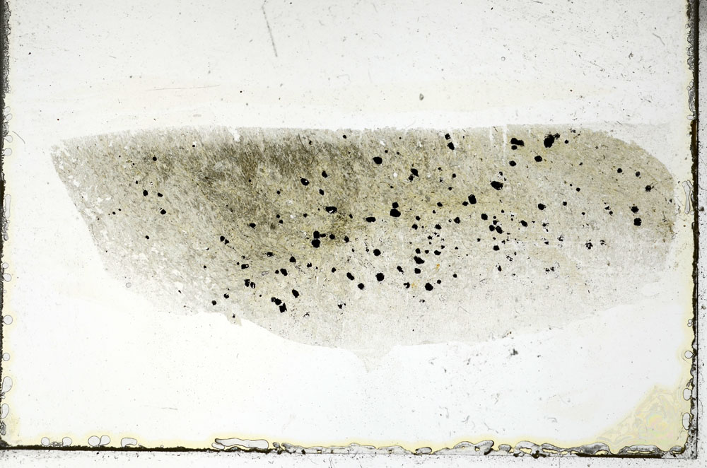 Plane Polarized, S89396
