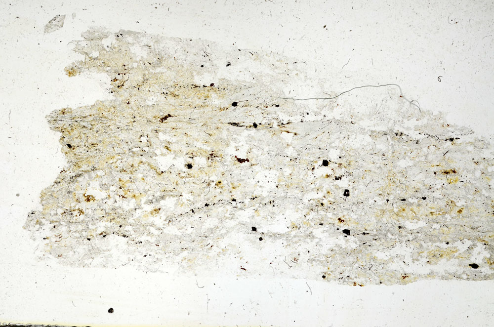 Plane Polarized, S89398