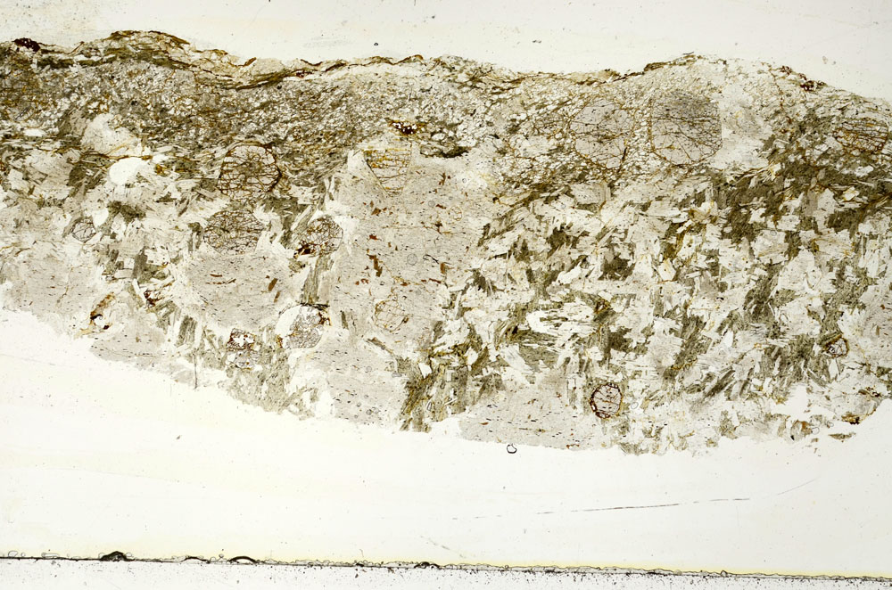 Plane Polarized, S89401