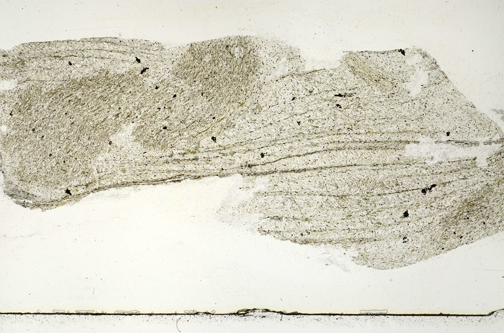 Plane Polarized, S89407
