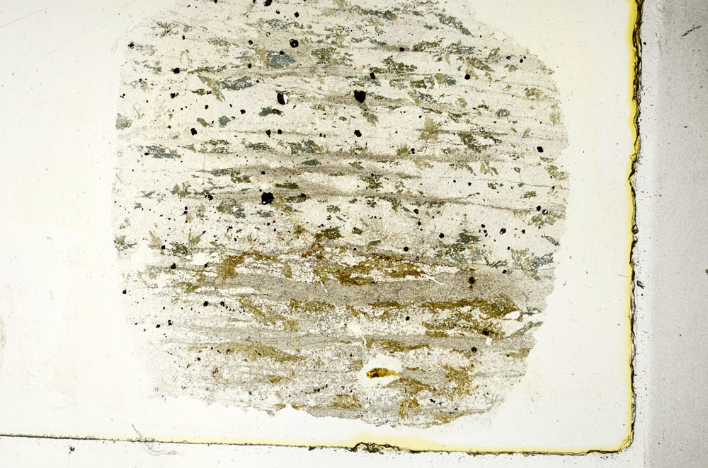 Plane Polarized, S89409