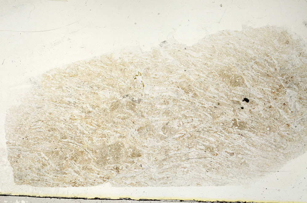 Plane Polarized, S89414
