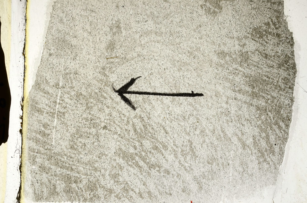 Plane Polarized, S89421