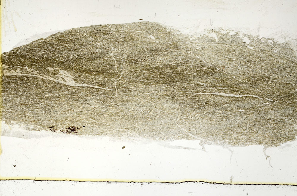 Plane Polarized, S89424