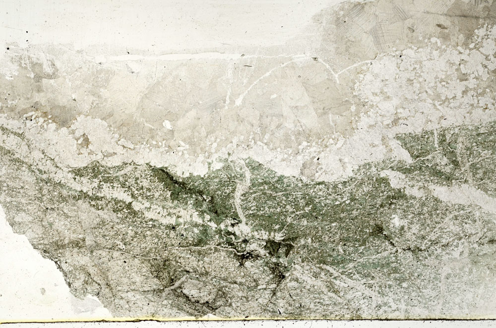 Plane Polarized, S89425