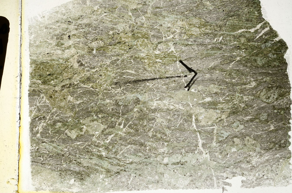 Plane Polarized, S89428