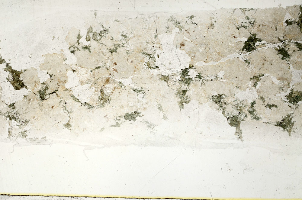 Plane Polarized, S89430