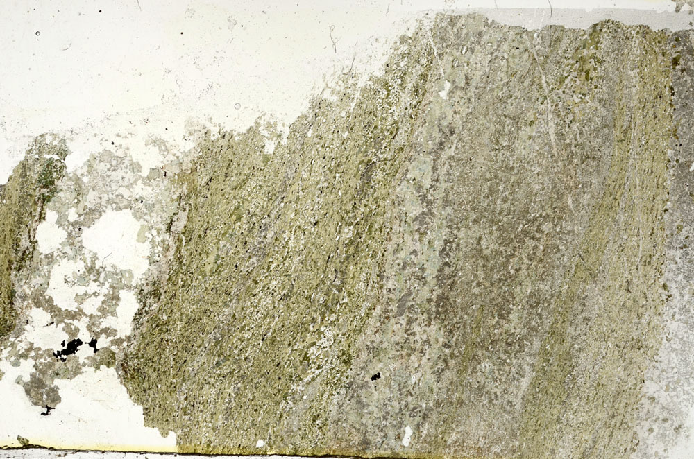 Plane Polarized, S89431