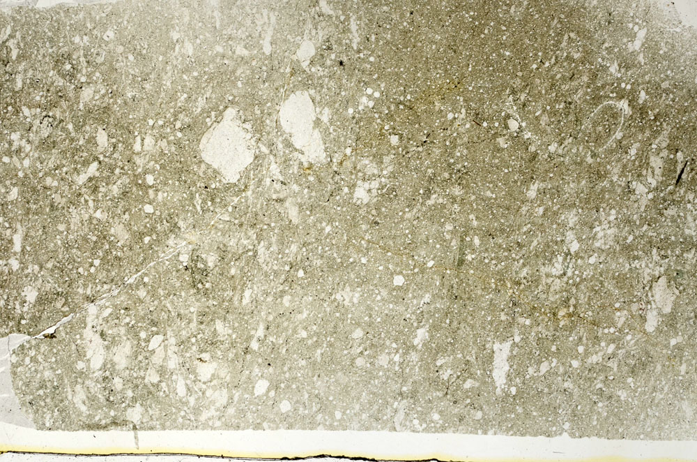 Plane Polarized, S89432