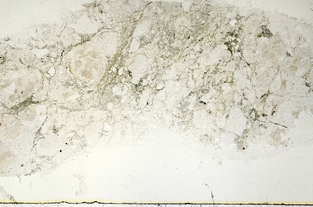 Plane Polarized, S89433
